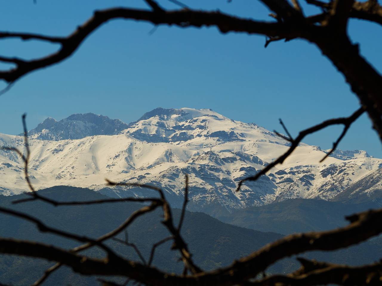 Cumbre nevada enmarcada por ramas